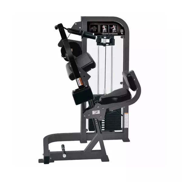 Rosen Pin Loaded Replica Galvanized Steel Workout Bodybuilding Triceps Extension