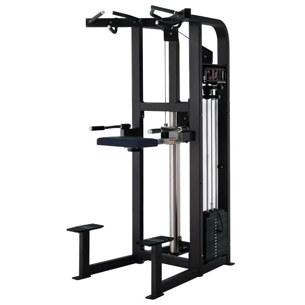 Rosen Pin Loaded Hammer Replica Commercial Gym Equipment Bodybuilding Assist Dip Chin