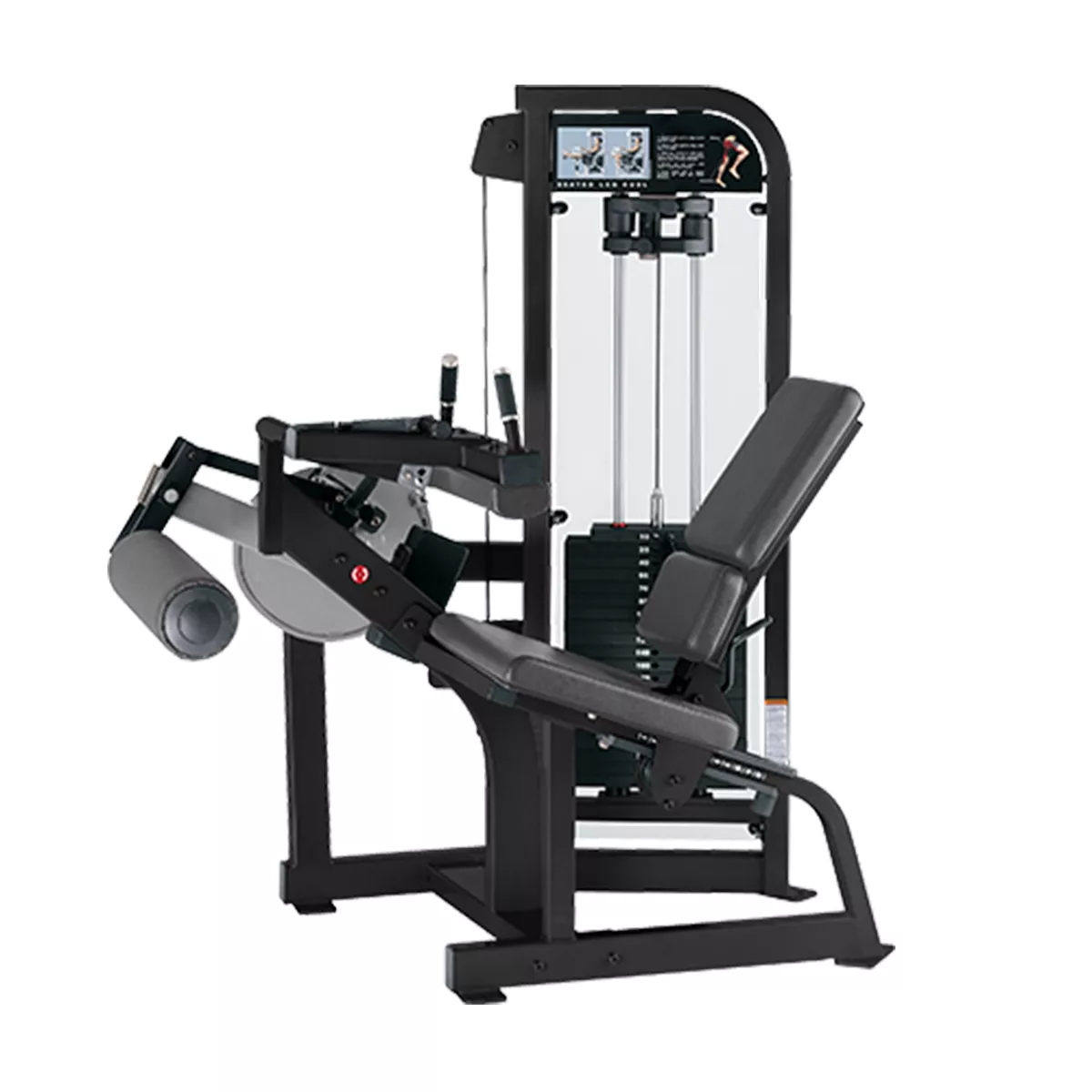 Rosen Pin Loaded Replica Galvanized Steel 3 Years Warranty Seated Leg Curl